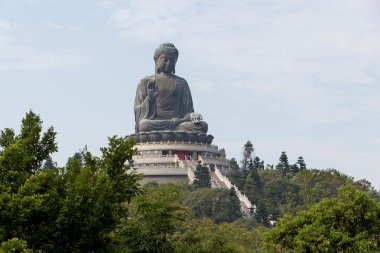 Tian Buda hong Kong tan