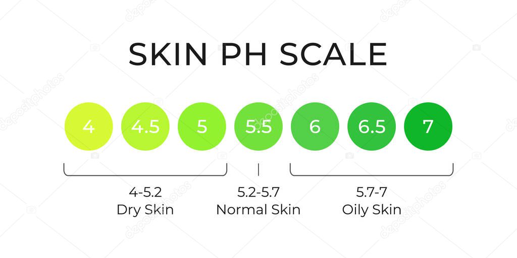 Skin pH value scale chart for normal, dry and oily. Indoication of lipid barrier acid mantle. Acid-base balance from 4 to 7 infographic isolated on white background. Vector illustration.
