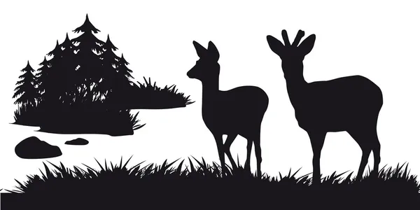 Cerfs avec pâturage de cerfs dans la forêt - silhouette noire et blanche — Image vectorielle