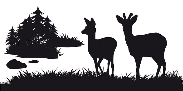 Deer with deer grazing in the forest - black and white silhouette