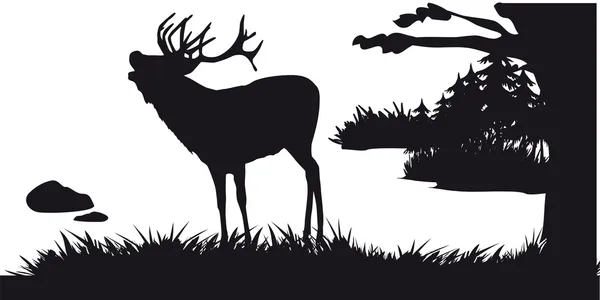 Deer with deer grazing in the forest - black and white silhouette — Stock Vector