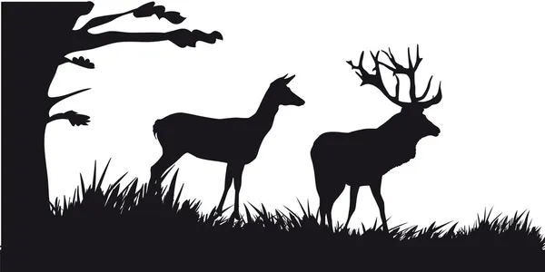 Hirsche mit Hirschen, die im Wald grasen - schwarz-weiße Silhouette — Stockvektor