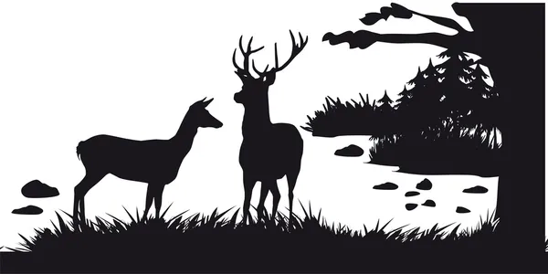 Cerfs avec pâturage de cerfs dans la forêt - silhouette noire et blanche — Image vectorielle