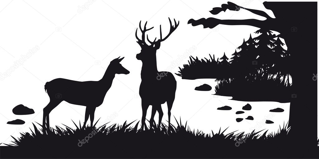 Deer with deer grazing in the forest - black and white silhouette