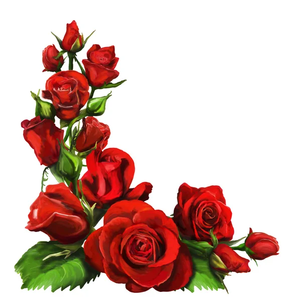 Rosas rojas — Foto de Stock