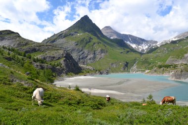 Avusturya Alplerinde Dağları, buzul ve Mera
