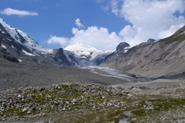 Avusturya Alplerinde Dağları, buzul ve Mera