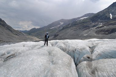 Avusturya Alplerinde Dağları, buzul ve Mera