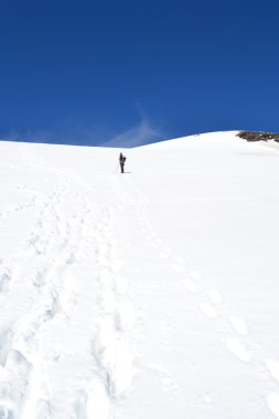 Avusturya Alplerinde Dağları, buzul ve Mera