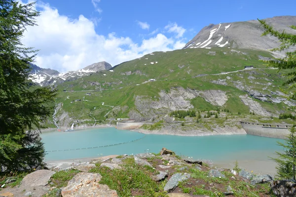 Berg, glaciärer och betesmarker österrikiska Alperna — Stockfoto