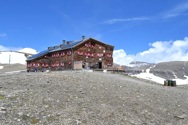 山，冰川和牧场的奥地利阿尔卑斯山 — 图库照片