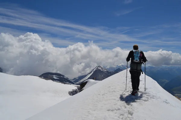 Montañas, glaciares y pastos Alpes austríacos —  Fotos de Stock