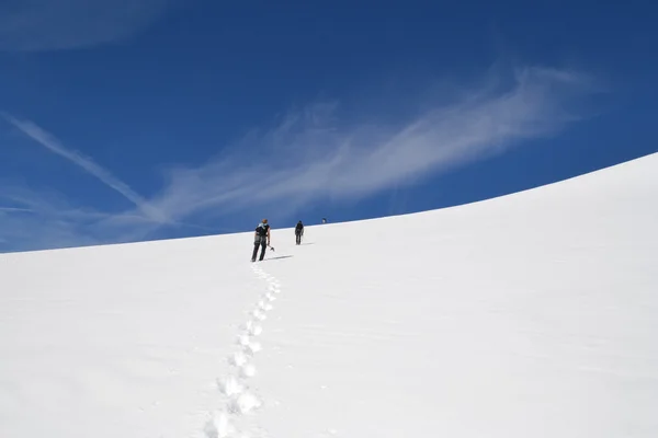 Montagne, ghiacciai e pascoli Alpi austriache — Foto Stock