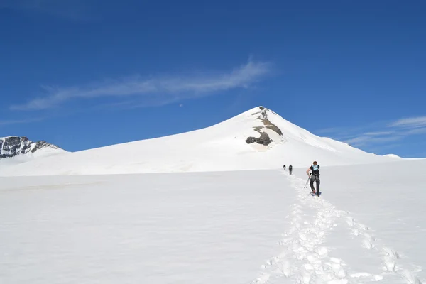 Berg, glaciärer och betesmarker österrikiska Alperna — Stockfoto