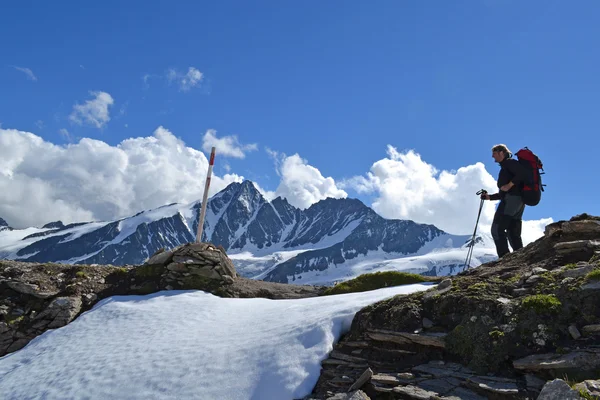 Hory rakouských Alp ledovce skalního — Stock fotografie