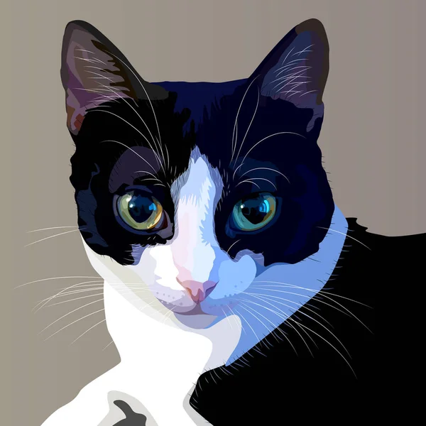 Primer Plano Gato Vector Ilustración — Archivo Imágenes Vectoriales