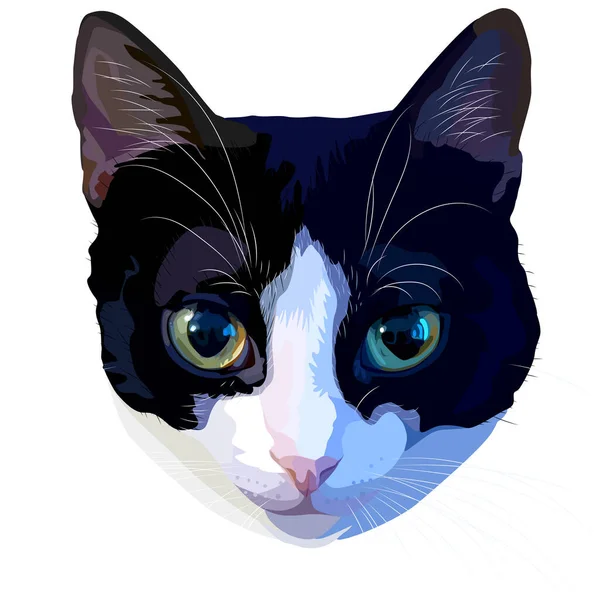 Cat Head White Vector Illustration — Stock Vector