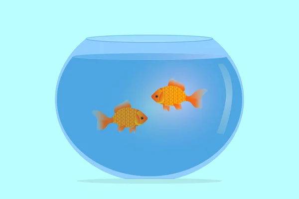 Ilustração Aquário Com Dois Peixinhos Dourados Aquário Vidro Com Água — Vetor de Stock