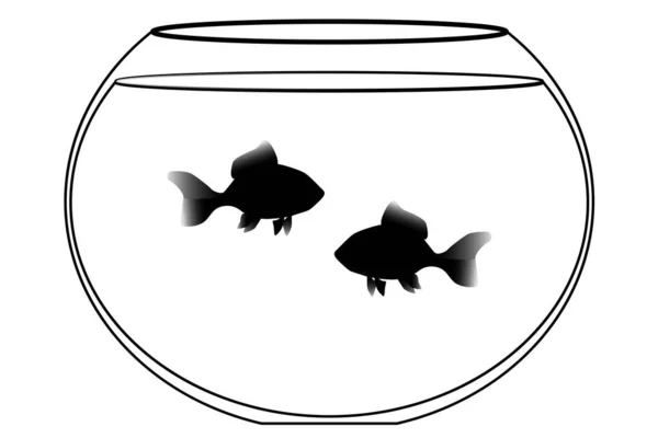 Ілюстрація Акваріума Двома Золотими Рибами Скляний Акваріум Водою Золотом — стоковий вектор