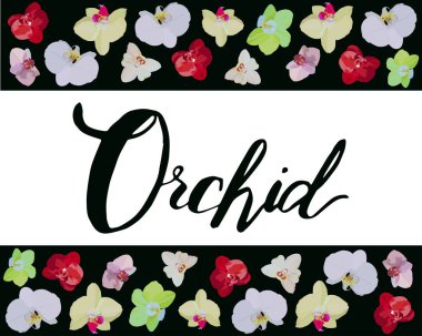 Orkide sözcüğünün yazıtında çiçeklerle süslenmiş siyah bir yazı var. Çiçek satan dükkanlar için. Orkide evi bitkisi. Orkide çiçekleri kırmızı, sarı, beyaz ve pembedir..