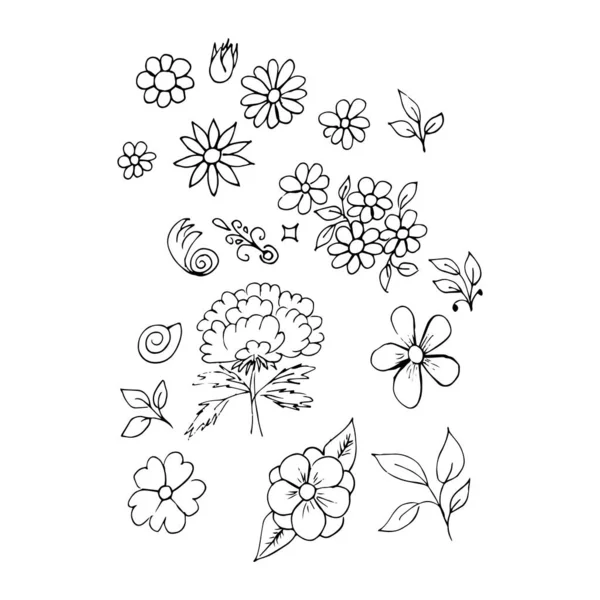 Set Simple Summer Flowers Drawings Abstract Flowers Illustration Hand Drawn —  Vetores de Stock