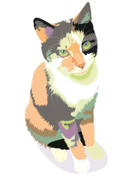 Arka Planda Renkli Kedinin Ağzı Gerçekçi Bir Kedi Kafası Çizimi — Stok Vektör