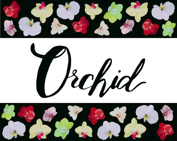 Orkide sözcüğünün yazıtında çiçeklerle süslenmiş siyah bir yazı var. Çiçek satan dükkanlar için. Orkide evi bitkisi. Orkide çiçekleri kırmızı, sarı, beyaz ve pembedir..