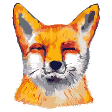 Gözleri kapalı bir tilki resmi. Güzel kızıl tilki. Kırmızı renkli vahşi bir orman hayvanı tasviri. Gözleri kapalı Chanterelle. Fox uyuyor..