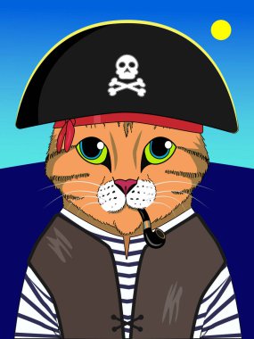 Şapkalı, yelekli ve borulu bir korsan kedi. Denizdeki kedi, bir korsan gibi..