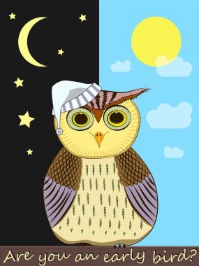 Parlak renklerle boyanmış küçük baykuş. Kuş ailesi baykuşu. Komik bir kuş. Güneş ve ay desenli gecelik şapkalı bir baykuş. Yazılanlara göre erkencisin..