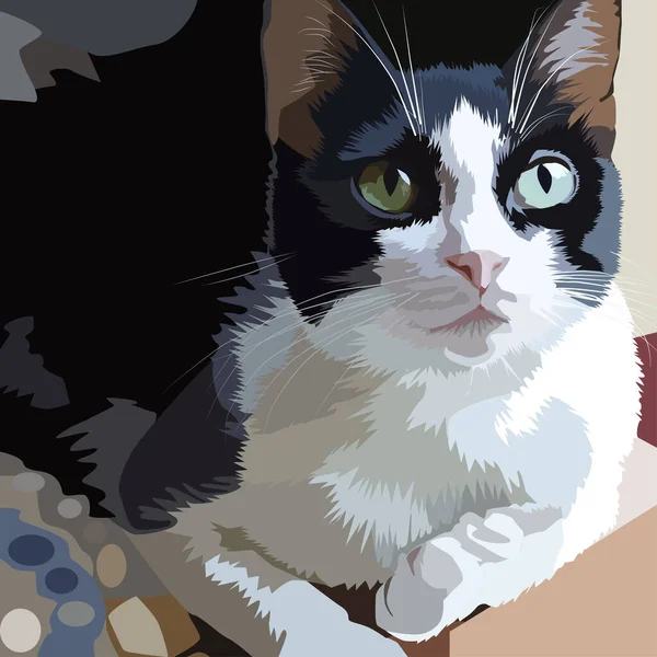 黒い白い猫の写真 黒い耳と白い口ひげ 白いパウとキティ 目で猫 ペットと絵を描く — ストックベクタ