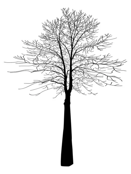 Vector Image Black Tree Big Tall Tree Black Color White — Vetor de Stock