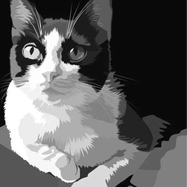 Web Illustration Cat Black White Gray Colors Cat Pet Detailed — Stock Vector