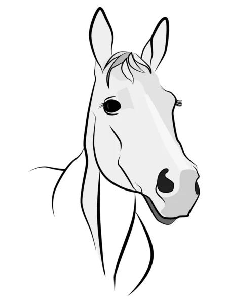 Figure Horse Dark Lines Horse Head White Background White Horse — 图库矢量图片