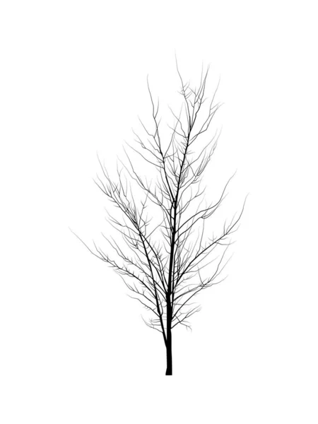Vector Image Black Tree Big Tall Tree Black Color White — Stockvektor