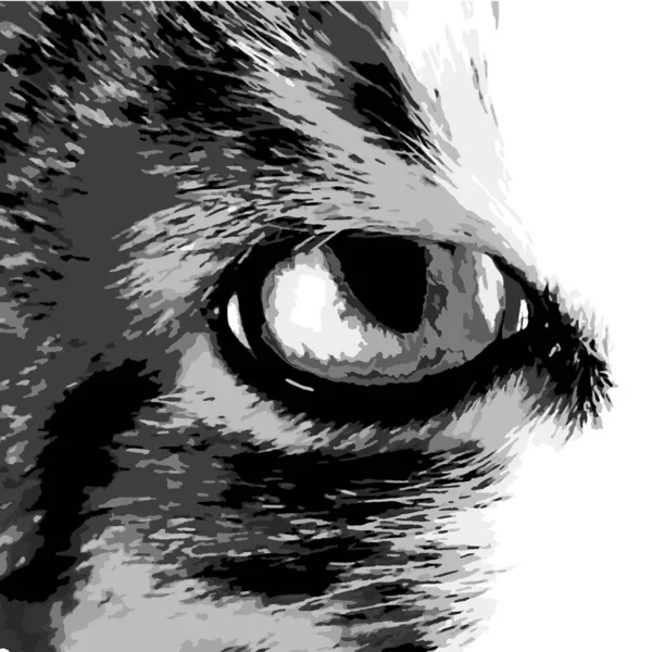 Vektör kedi gözü. Bir kedinin portresi. 