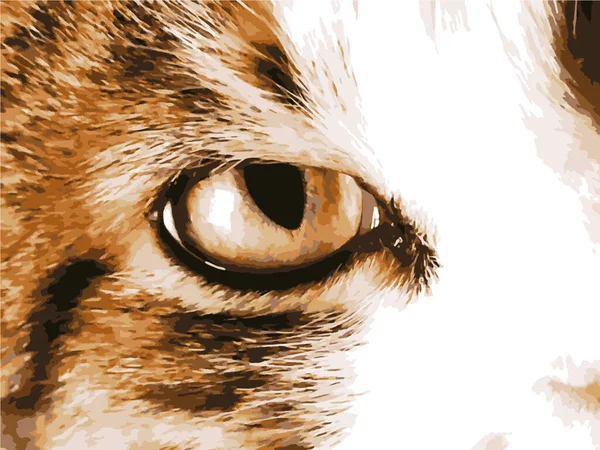 Διανυσματικό Μάτι Γάτας Πορτραίτο Γάτας — Διανυσματικό Αρχείο