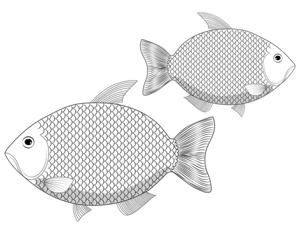 Дві Риби Намальовані Лінії Річкова Риба Великою Кількістю Масштабів Круки — стоковий вектор