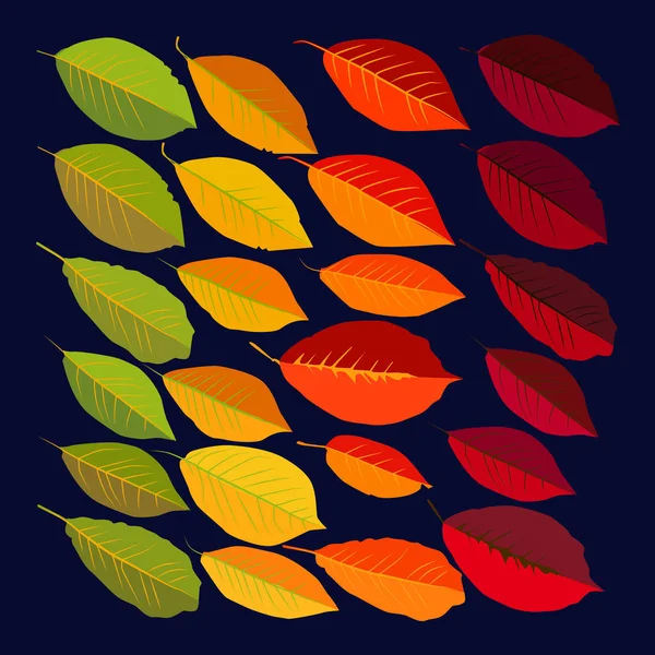 Ensemble Feuilles Arbres Différentes Nuances Allant Vert Rouge Nombreuses Feuilles — Image vectorielle