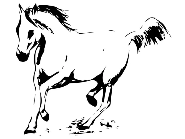 Horse Drawn Lines Galloping Horse Horse Galloping Developing Mane Tail — 图库矢量图片