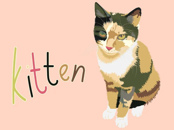 Ilustración Gatito Color Multicolor Inscripción Palabra Gatito Mascotas — Vector de stock