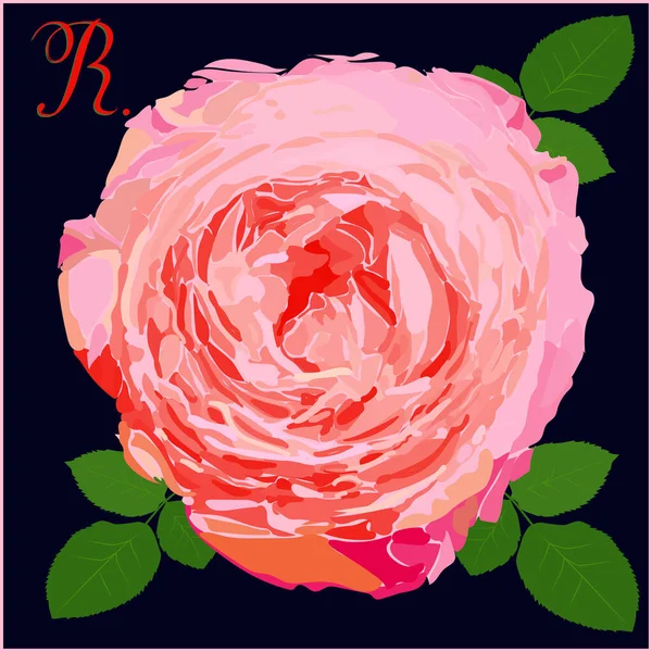 Image Pink Rose Background Green Leaves Bud Blooming Rose Leaves — 图库矢量图片