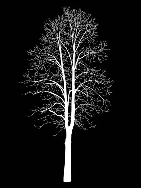 Parte Superior Del Árbol Sin Hojas Sobre Fondo Negro Cuadro — Vector de stock