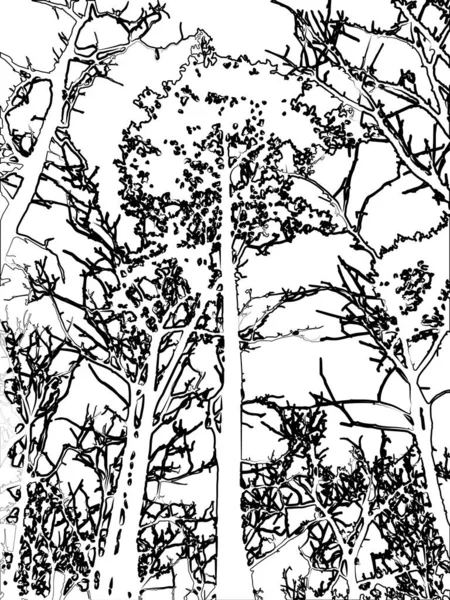 Багато Чорних Дерев Фоні — стоковий вектор