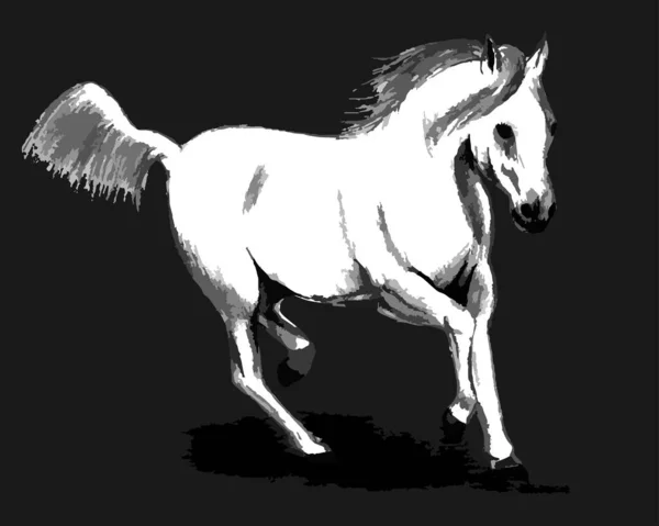 Illustration White Horse Black Background Galloping Horse Dark White Horse — Vetor de Stock