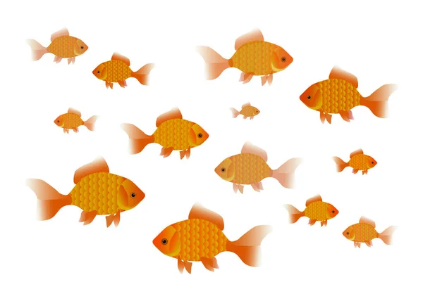 Золота Рибка Плаває Різних Напрямках Білому Тлі Багато Плаваючих Золотих — стоковий вектор