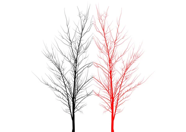 Dva Stromy Jeden Černý Druhý Sebe Odrážel Stromy Bílém Pozadí — Stockový vektor
