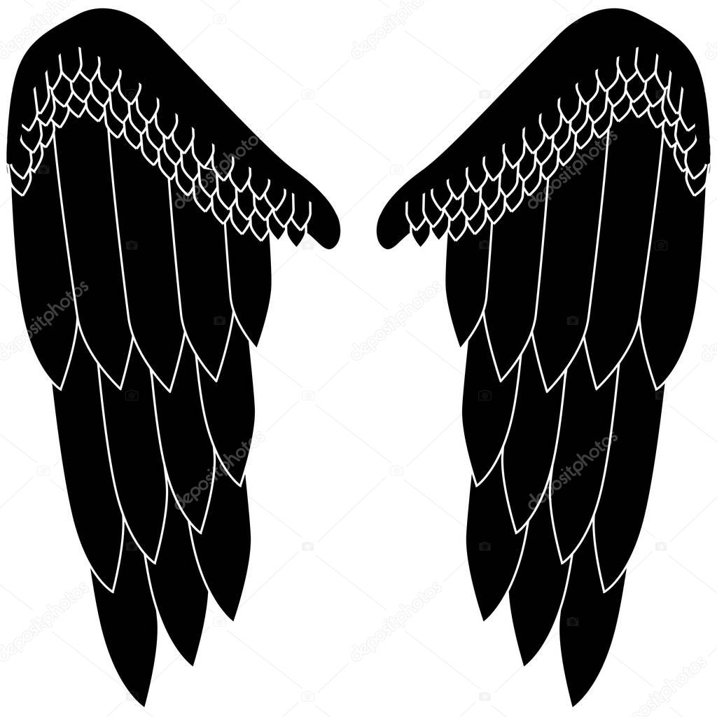 Two wings with large feathers. Angel wings. Part of the costume: wings for the flight.