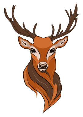 Büyük boynuzlu bir erkek ren geyiği. Güzel bir geyik.