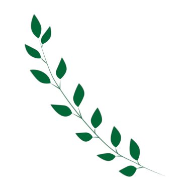 Yeşil yapraklı bir dalın vektör çizimi.